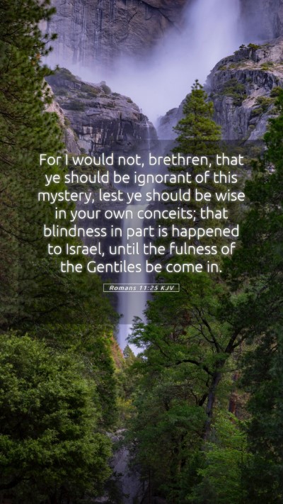 Picture 05 - Romans 11:25 KJV Mobile Phone Wallpaper - For I would not, brethren, that ye should be - Mobile Bible Verse Wallpaper