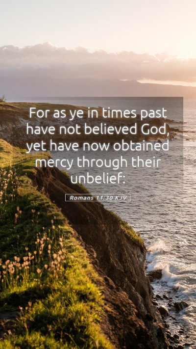Picture 05 - Romans 11:30 KJV Mobile Phone Wallpaper - For as ye in times past have not believed God, - Mobile Bible Verse Wallpaper