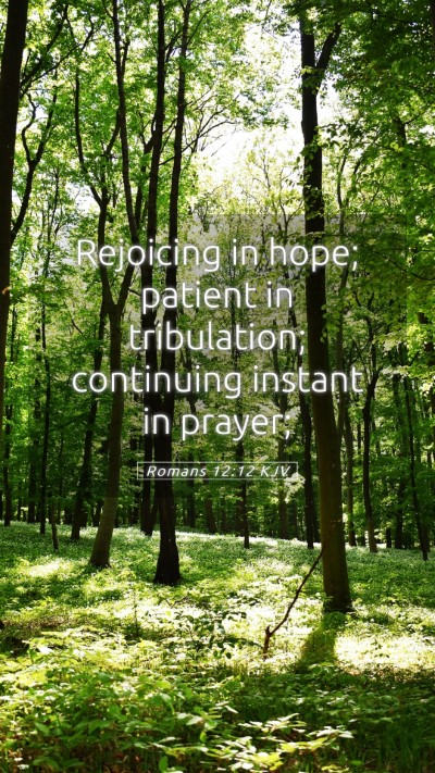 Picture 05 - Romans 12:12 KJV Mobile Phone Wallpaper - Rejoicing in hope; patient in tribulation; - Mobile Bible Verse Wallpaper