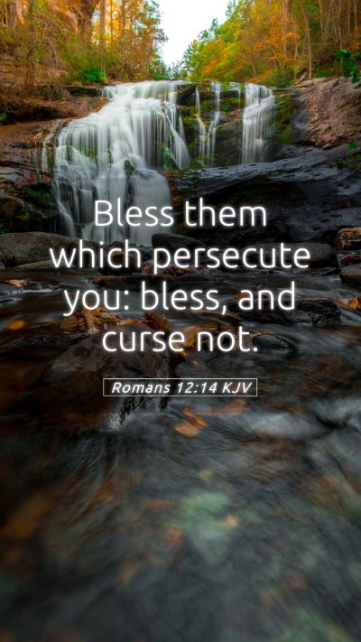 Picture 05 - Romans 12:14 KJV Mobile Phone Wallpaper - Bless them which persecute you: bless, and curse - Mobile Bible Verse Wallpaper