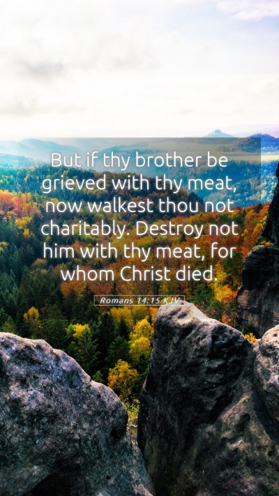 Picture 05 - Romans 14:15 KJV Mobile Phone Wallpaper - But if thy brother be grieved with thy meat, now - Mobile Bible Verse Wallpaper