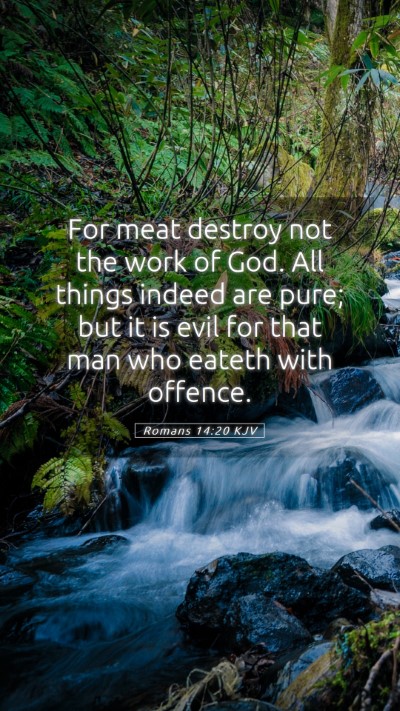 Picture 05 - Romans 14:20 KJV Mobile Phone Wallpaper - For meat destroy not the work of God. All things - Mobile Bible Verse Wallpaper