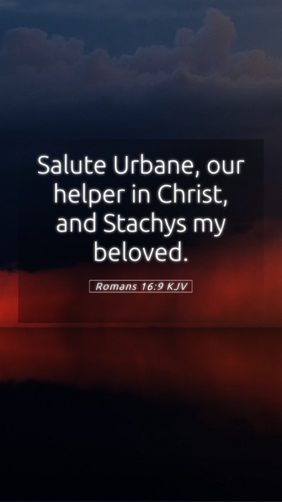 Picture 05 - Romans 16:9 KJV Mobile Phone Wallpaper - Salute Urbane, our helper in Christ, and Stachys - Mobile Bible Verse Wallpaper