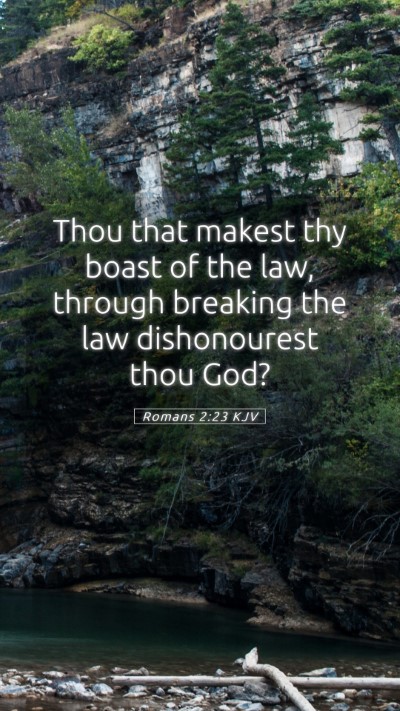 Picture 05 - Romans 2:23 KJV Mobile Phone Wallpaper - Thou that makest thy boast of the law, through - Mobile Bible Verse Wallpaper