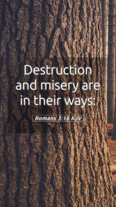 Picture 05 - Romans 3:16 KJV Mobile Phone Wallpaper - Destruction and misery are in their - Mobile Bible Verse Wallpaper