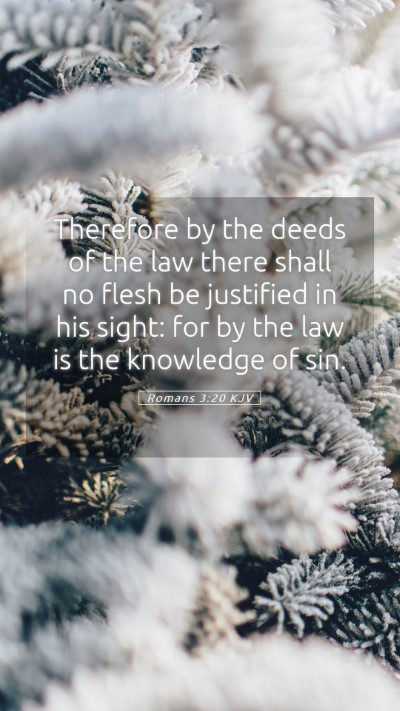 Picture 05 - Romans 3:20 KJV Mobile Phone Wallpaper - Therefore by the deeds of the law there shall no - Mobile Bible Verse Wallpaper