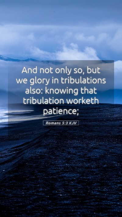 Picture 05 - Romans 5:3 KJV Mobile Phone Wallpaper - And not only so, but we glory in tribulations - Mobile Bible Verse Wallpaper