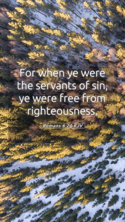 Picture 05 - Romans 6:20 KJV Mobile Phone Wallpaper - For when ye were the servants of sin, ye were - Mobile Bible Verse Wallpaper