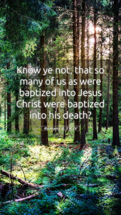 Picture 05 - Romans 6:3 KJV Mobile Phone Wallpaper - Know ye not, that so many of us as were baptized - Mobile Bible Verse Wallpaper