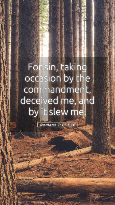 Picture 05 - Romans 7:11 KJV Mobile Phone Wallpaper - For sin, taking occasion by the commandment, - Mobile Bible Verse Wallpaper