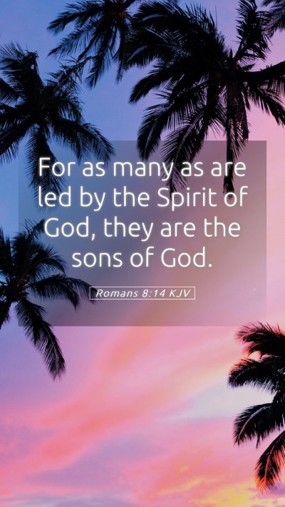 Picture 05 - Romans 8:14 KJV Mobile Phone Wallpaper - For as many as are led by the Spirit of God, they - Mobile Bible Verse Wallpaper