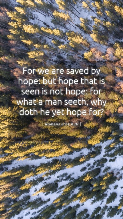 Picture 05 - Romans 8:24 KJV Mobile Phone Wallpaper - For we are saved by hope: but hope that is seen - Mobile Bible Verse Wallpaper