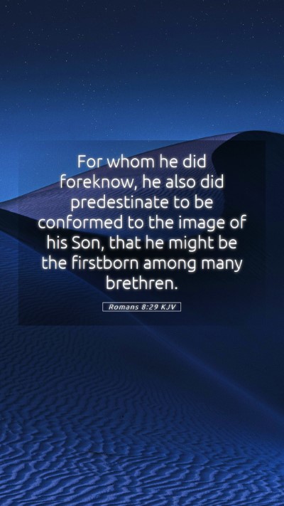 Picture 05 - Romans 8:29 KJV Mobile Phone Wallpaper - For whom he did foreknow, he also did - Mobile Bible Verse Wallpaper