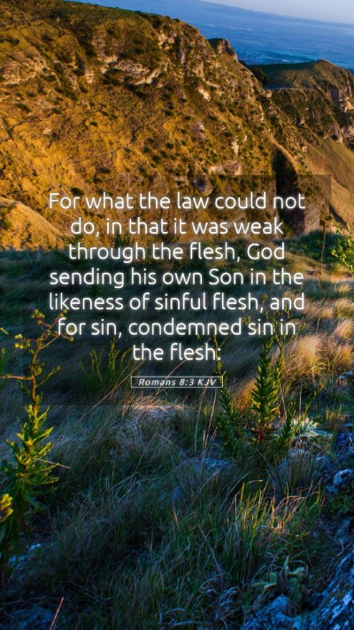 Picture 05 - Romans 8:3 KJV Mobile Phone Wallpaper - For what the law could not do, in that it was - Mobile Bible Verse Wallpaper