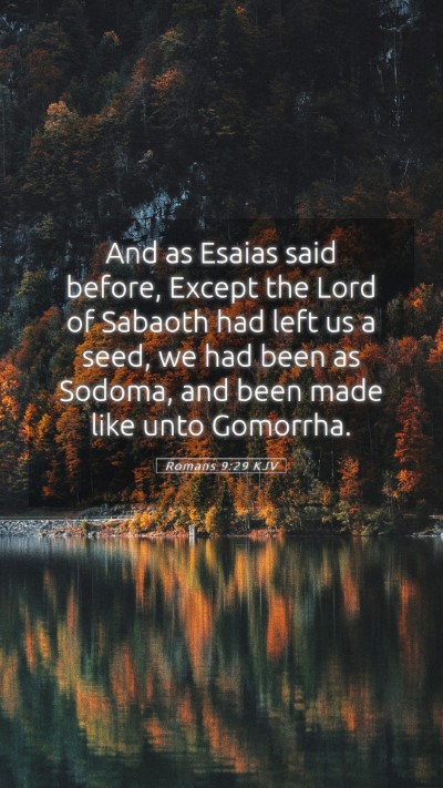 Picture 05 - Romans 9:29 KJV Mobile Phone Wallpaper - And as Esaias said before, Except the Lord of - Mobile Bible Verse Wallpaper