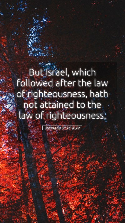 Picture 05 - Romans 9:31 KJV Mobile Phone Wallpaper - But Israel, which followed after the law of - Mobile Bible Verse Wallpaper