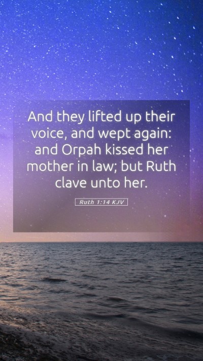 Picture 05 - Ruth 1:14 KJV Mobile Phone Wallpaper - And they lifted up their voice, and wept again: - Mobile Bible Verse Wallpaper