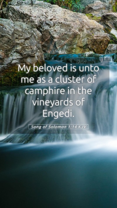Picture 05 - Song of Solomon 1:14 KJV Mobile Phone Wallpaper - My beloved is unto me as a cluster of camphire in - Mobile Bible Verse Wallpaper