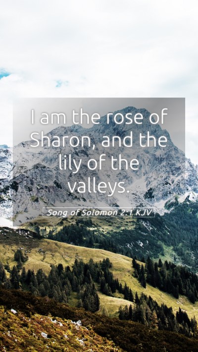 Picture 05 - Song of Solomon 2:1 KJV Mobile Phone Wallpaper - I am the rose of Sharon, and the lily of the - Mobile Bible Verse Wallpaper