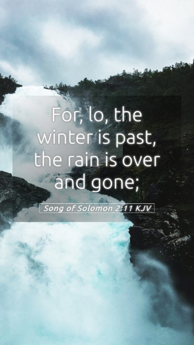 Picture 05 - Song of Solomon 2:11 KJV Mobile Phone Wallpaper - For, lo, the winter is past, the rain is over and - Mobile Bible Verse Wallpaper