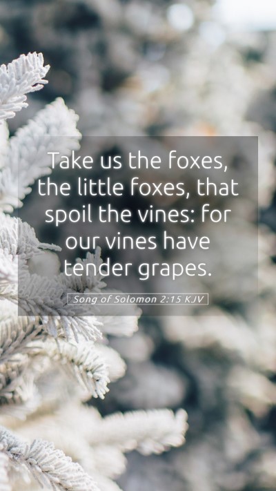 Picture 05 - Song of Solomon 2:15 KJV Mobile Phone Wallpaper - Take us the foxes, the little foxes, that spoil - Mobile Bible Verse Wallpaper