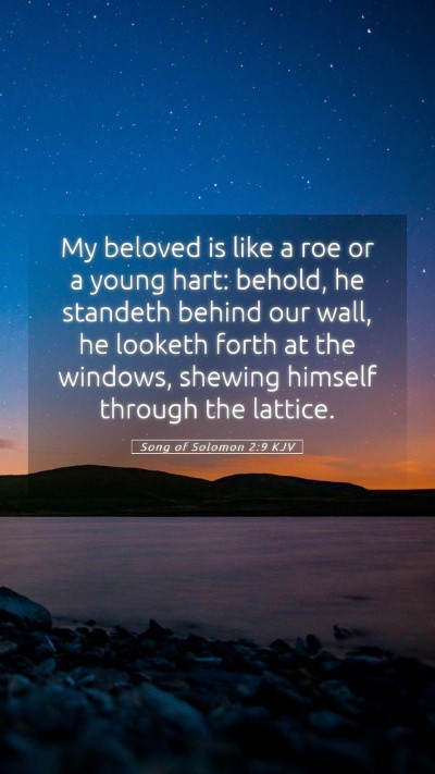 Picture 05 - Song of Solomon 2:9 KJV Mobile Phone Wallpaper - My beloved is like a roe or a young hart: behold, - Mobile Bible Verse Wallpaper