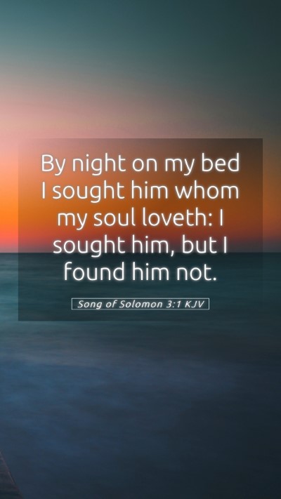 Picture 05 - Song of Solomon 3:1 KJV Mobile Phone Wallpaper - By night on my bed I sought him whom my soul - Mobile Bible Verse Wallpaper