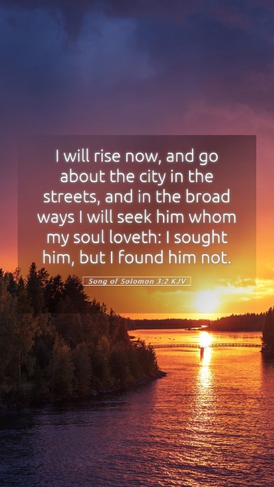 Picture 05 - Song of Solomon 3:2 KJV Mobile Phone Wallpaper - I will rise now, and go about the city in the - Mobile Bible Verse Wallpaper
