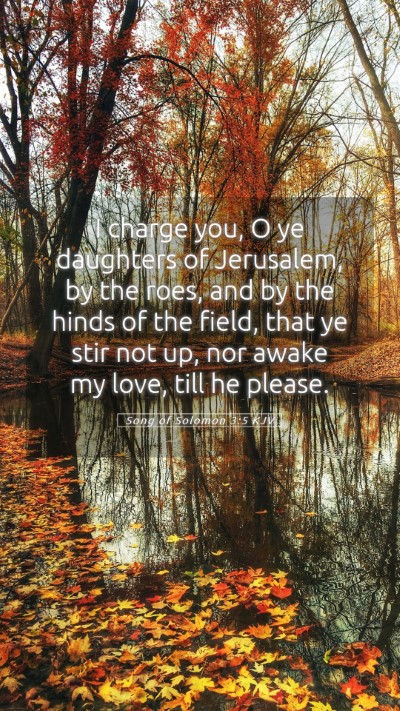 Picture 05 - Song of Solomon 3:5 KJV Mobile Phone Wallpaper - I charge you, O ye daughters of Jerusalem, by the - Mobile Bible Verse Wallpaper