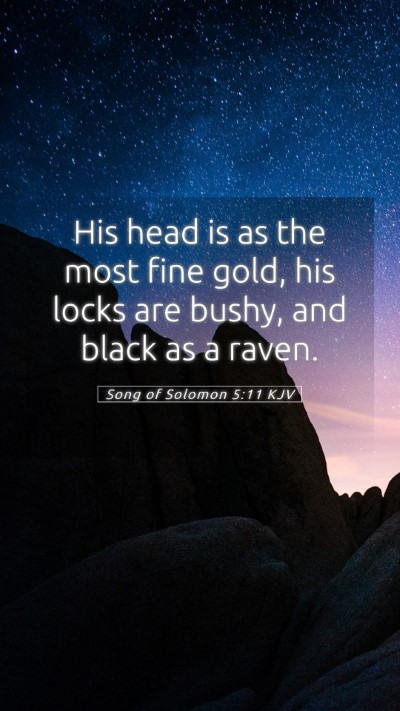 Picture 05 - Song of Solomon 5:11 KJV Mobile Phone Wallpaper - His head is as the most fine gold, his locks are - Mobile Bible Verse Wallpaper
