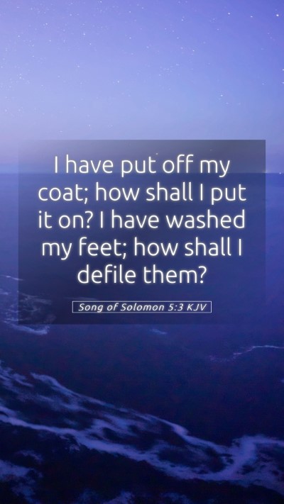 Picture 05 - Song of Solomon 5:3 KJV Mobile Phone Wallpaper - I have put off my coat; how shall I put it on? I - Mobile Bible Verse Wallpaper