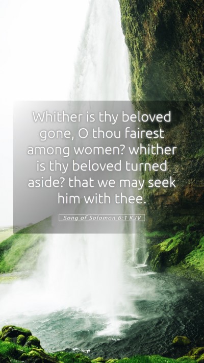 Picture 05 - Song of Solomon 6:1 KJV Mobile Phone Wallpaper - Whither is thy beloved gone, O thou fairest among - Mobile Bible Verse Wallpaper