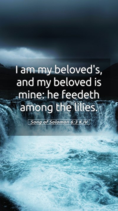 Picture 05 - Song of Solomon 6:3 KJV Mobile Phone Wallpaper - I am my beloved's, and my beloved is mine: he - Mobile Bible Verse Wallpaper