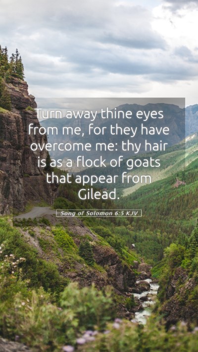 Picture 05 - Song of Solomon 6:5 KJV Mobile Phone Wallpaper - Turn away thine eyes from me, for they have - Mobile Bible Verse Wallpaper