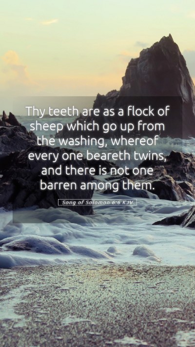Picture 05 - Song of Solomon 6:6 KJV Mobile Phone Wallpaper - Thy teeth are as a flock of sheep which go up - Mobile Bible Verse Wallpaper