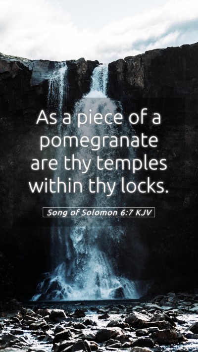 Picture 05 - Song of Solomon 6:7 KJV Mobile Phone Wallpaper - As a piece of a pomegranate are thy temples - Mobile Bible Verse Wallpaper