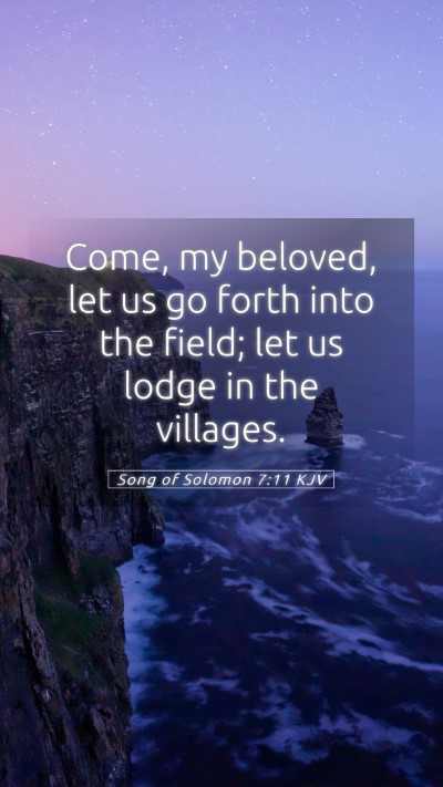 Picture 05 - Song of Solomon 7:11 KJV Mobile Phone Wallpaper - Come, my beloved, let us go forth into the field; - Mobile Bible Verse Wallpaper