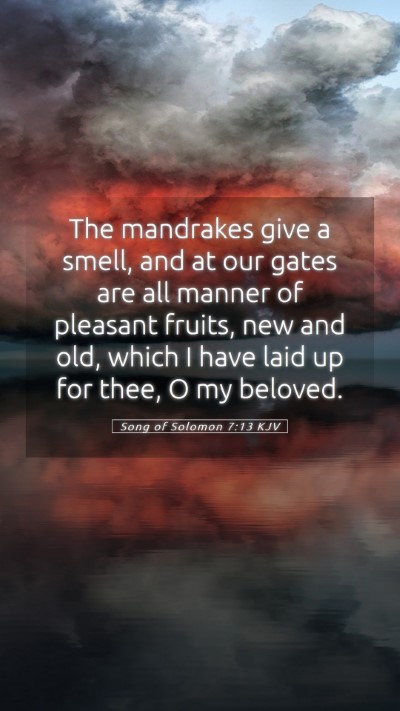 Picture 05 - Song of Solomon 7:13 KJV Mobile Phone Wallpaper - The mandrakes give a smell, and at our gates are - Mobile Bible Verse Wallpaper
