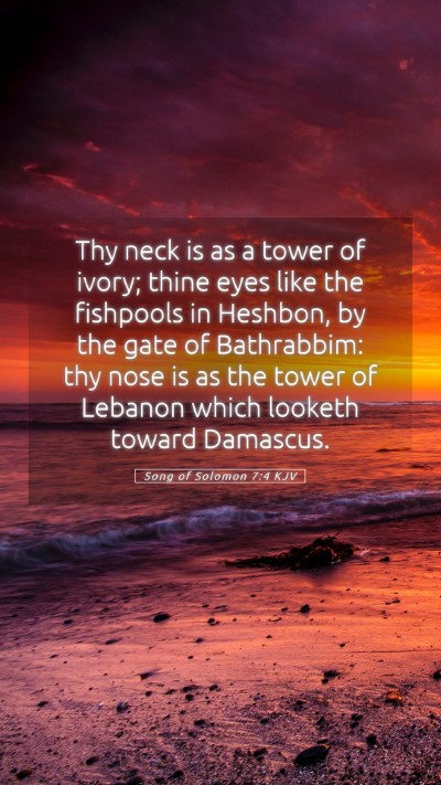 Picture 05 - Song of Solomon 7:4 KJV Mobile Phone Wallpaper - Thy neck is as a tower of ivory; thine eyes like - Mobile Bible Verse Wallpaper
