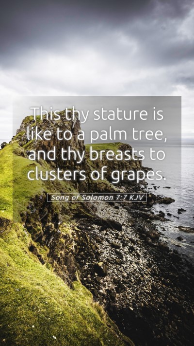 Picture 05 - Song of Solomon 7:7 KJV Mobile Phone Wallpaper - This thy stature is like to a palm tree, and thy - Mobile Bible Verse Wallpaper