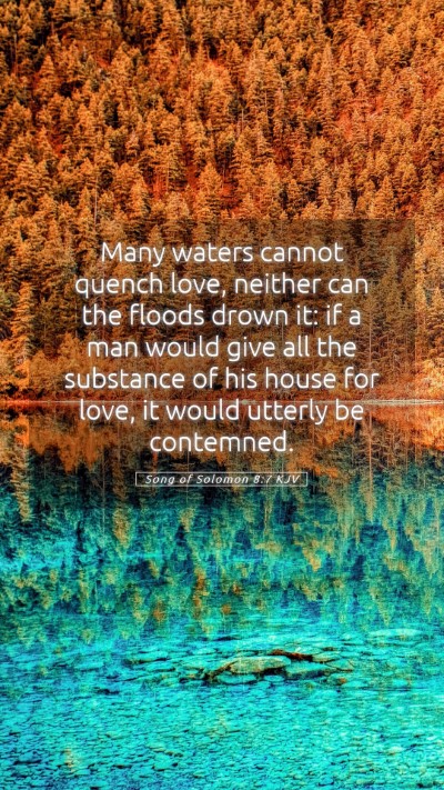 Picture 05 - Song of Solomon 8:7 KJV Mobile Phone Wallpaper - Many waters cannot quench love, neither can the - Mobile Bible Verse Wallpaper