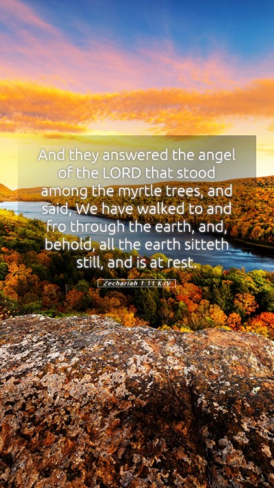 Picture 05 - Zechariah 1:11 KJV Mobile Phone Wallpaper - And they answered the angel of the LORD that - Mobile Bible Verse Wallpaper