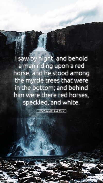 Picture 05 - Zechariah 1:8 KJV Mobile Phone Wallpaper - I saw by night, and behold a man riding upon a - Mobile Bible Verse Wallpaper