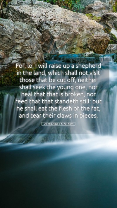 Picture 05 - Zechariah 11:16 KJV Mobile Phone Wallpaper - For, lo, I will raise up a shepherd in the land, - Mobile Bible Verse Wallpaper