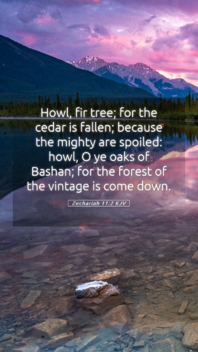 Picture 05 - Zechariah 11:2 KJV Mobile Phone Wallpaper - Howl, fir tree; for the cedar is fallen; because - Mobile Bible Verse Wallpaper
