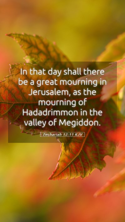 Picture 05 - Zechariah 12:11 KJV Mobile Phone Wallpaper - In that day shall there be a great mourning in - Mobile Bible Verse Wallpaper