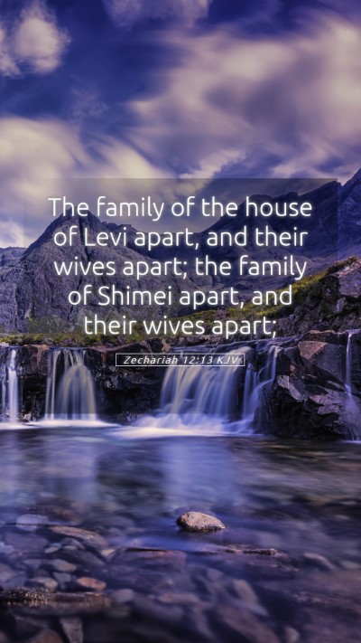 Picture 05 - Zechariah 12:13 KJV Mobile Phone Wallpaper - The family of the house of Levi apart, and their - Mobile Bible Verse Wallpaper