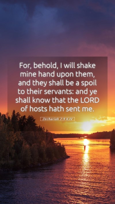Picture 05 - Zechariah 2:9 KJV Mobile Phone Wallpaper - For, behold, I will shake mine hand upon them, - Mobile Bible Verse Wallpaper