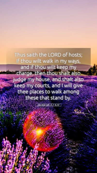 Picture 05 - Zechariah 3:7 KJV Mobile Phone Wallpaper - Thus saith the LORD of hosts; If thou wilt walk - Mobile Bible Verse Wallpaper