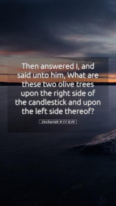 Picture 05 - Zechariah 4:11 KJV Mobile Phone Wallpaper - Then answered I, and said unto him, What are - Mobile Bible Verse Wallpaper